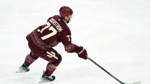 Boston Bruins defenseman Victor Soderstrom